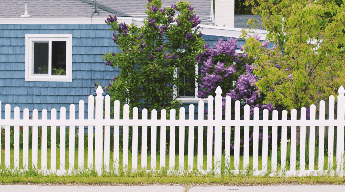 White fence in front of blue house