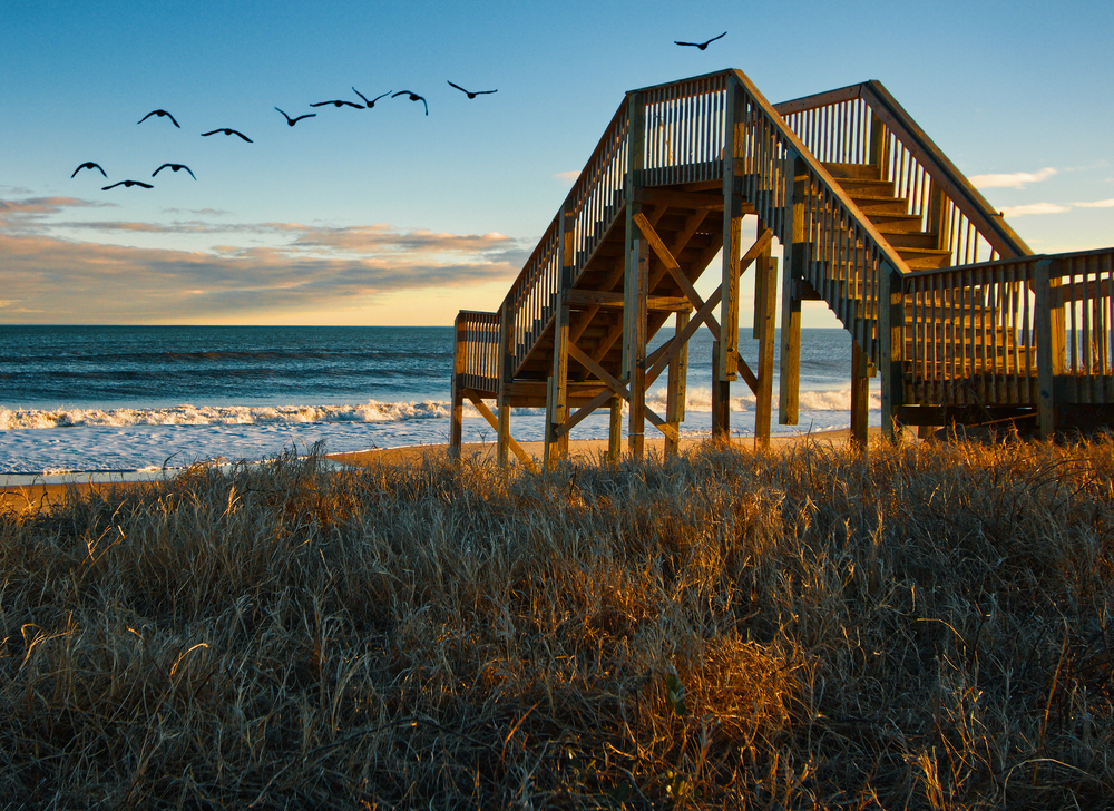 Boardwalk near the ocean with birds overhead during a sunset